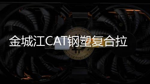金城江CAT鋼塑復合拉筋帶性能