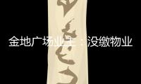 金地廣場業(yè)主：沒繳物業(yè)費買電咋還受限了？