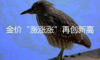 金價“漲漲漲”再創新高消費者持幣觀望黃金珠寶企業銷售承壓