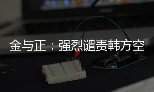 金與正：強(qiáng)烈譴責(zé)韓方空投反朝政治宣傳品