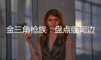 金三角槍族：盤點(diǎn)緬甸邊境的自制武器