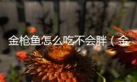 金槍魚怎么吃不會胖（金槍魚怎么吃）