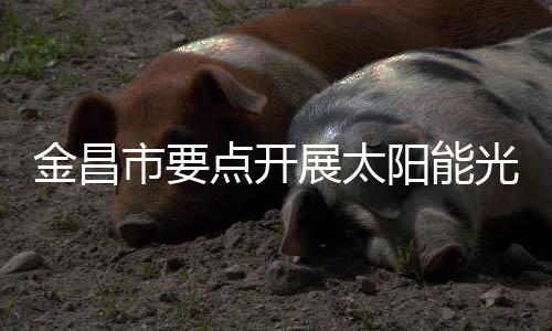 金昌市要點開展太陽能光伏項目建設,行業(yè)資訊