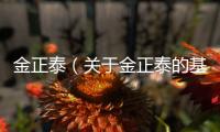 金正泰（關于金正泰的基本情況說明介紹）