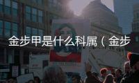 金步甲是什么科屬（金步甲是什么）