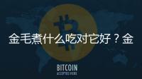 金毛煮什么吃對它好？金毛可以吃水煮菜嗎