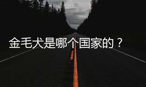 金毛犬是哪個國家的？ 金毛犬是哪個國家的犬