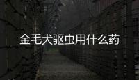 金毛犬驅蟲用什么藥