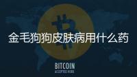 金毛狗狗皮膚病用什么藥(金毛狗狗好養嗎)