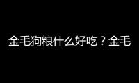 金毛狗糧什么好吃？金毛犬狗糧吃什么牌子的好