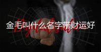 金毛叫什么名字帶財(cái)運(yùn)好聽？金毛什么名字比較招財(cái)