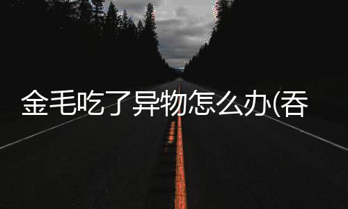 金毛吃了異物怎么辦(吞食塑料異物怎么辦)