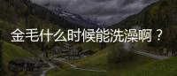 金毛什么時候能洗澡啊？金毛什么時候能洗澡洗頭