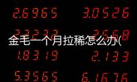 金毛一個(gè)月拉稀怎么辦(金毛幼犬拉稀怎么辦?找對(duì)原因是關(guān)鍵)
