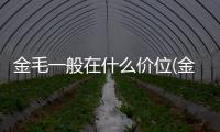 金毛一般在什么價位(金毛幼犬什么價位)