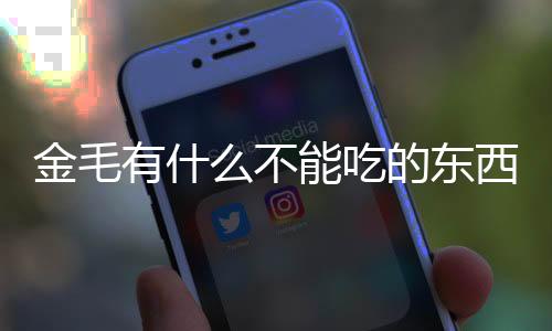 金毛有什么不能吃的東西？金毛哪些東西不能吃什么