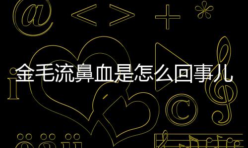 金毛流鼻血是怎么回事兒？金毛流鼻血怎么回事夏天