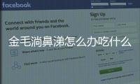 金毛淌鼻涕怎么辦吃什么藥？金毛流鼻涕是怎么回事