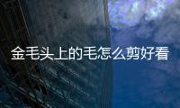金毛頭上的毛怎么剪好看？金毛的毛怎么剃
