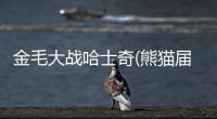 金毛大戰哈士奇(熊貓屆的哈士奇)