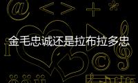 金毛忠誠(chéng)還是拉布拉多忠誠(chéng)
