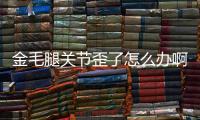 金毛腿關節歪了怎么辦啊？金毛前腿關節