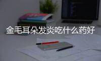 金毛耳朵發炎吃什么藥好？金毛耳朵發炎吃什么藥效果好