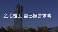 金毛走丟 自己報警求助