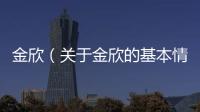 金欣（關于金欣的基本情況說明介紹）