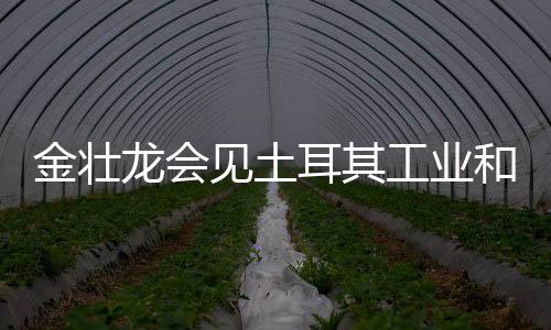 金壯龍會見土耳其工業和技術部部長穆罕默德·卡希爾