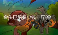 金頭巴腦多少錢一斤(金頭巴腦是什么?)