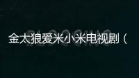 金太狼愛米小米電視?。ń鹛菒勖仔∶祝?/></div></a><tt draggable=