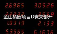 金山橘園項目D黨支部開展“我為群眾辦實事”之“冬暖人心”活動