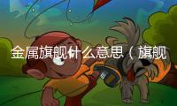 金屬旗艦什么意思（旗艦什么意思）