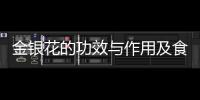 金銀花的功效與作用及食用方法全面解析