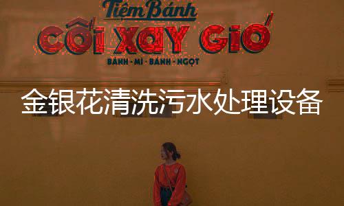 金銀花清洗污水處理設備
