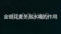 金銀花麥冬泡水喝的作用