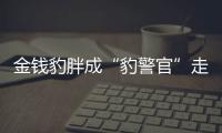 金錢(qián)豹胖成“豹警官”走紅 園方：減肥方案已制定