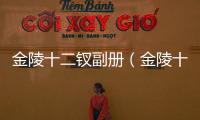 金陵十二釵副冊（金陵十二釵）
