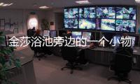 金莎浴池旁邊的一個小物件引起了網友們的注意