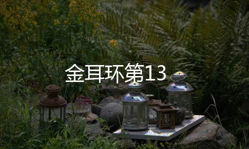 金耳環第13