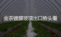 金茶鍍膜玻璃出口勢頭看好,行業資訊