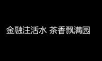 金融注活水 茶香飄滿園