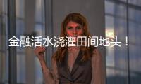 金融活水澆灌田間地頭！梅州強化金融賦能助力“百千萬工程”加速前行