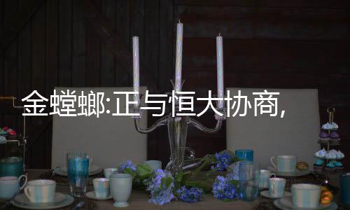金螳螂:正與恒大協(xié)商,推動逾期未兌付商業(yè)承兌匯票及工程款支付