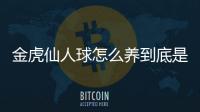 金虎仙人球怎么養(yǎng)到底是怎么回事?