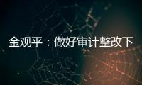 金觀平：做好審計整改下半篇文章