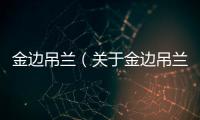 金邊吊蘭（關(guān)于金邊吊蘭的基本情況說明介紹）