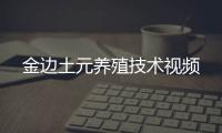 金邊土元養(yǎng)殖技術(shù)視頻