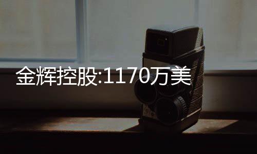 金輝控股:1170萬美元已存入賬戶,用于償還2024年票據利息